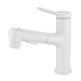 Moderne Waschbeckenarmatur mit herausziehbarem Brauseauslauf und Mischfunktion